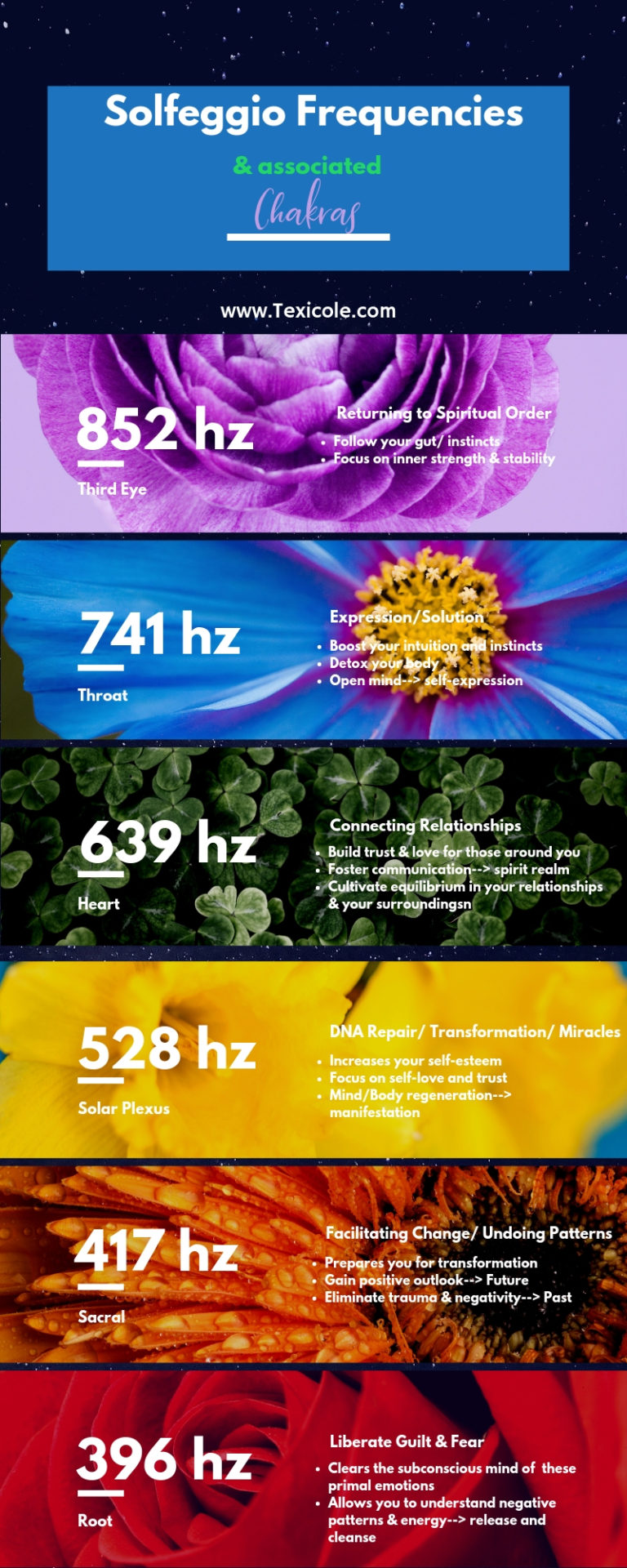 Introduction to the Solfeggio Frequencies - Tex.icole